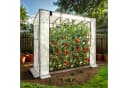 Arebos Tomatengewächshaus 200x77x170 cm mit 2 Netzfenstern & Rolltür Bild 1
