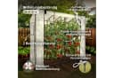 Arebos Tomatengewächshaus 200x77x170 cm mit 2 Netzfenstern & Rolltür Bild 3