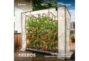 Arebos Tomatengewächshaus 200x77x170 cm mit 2 Netzfenstern & Rolltür Bild 4