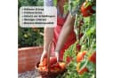 osoltus Hochbeet Gartenbeet Metall 105x60x43cm Bild 4