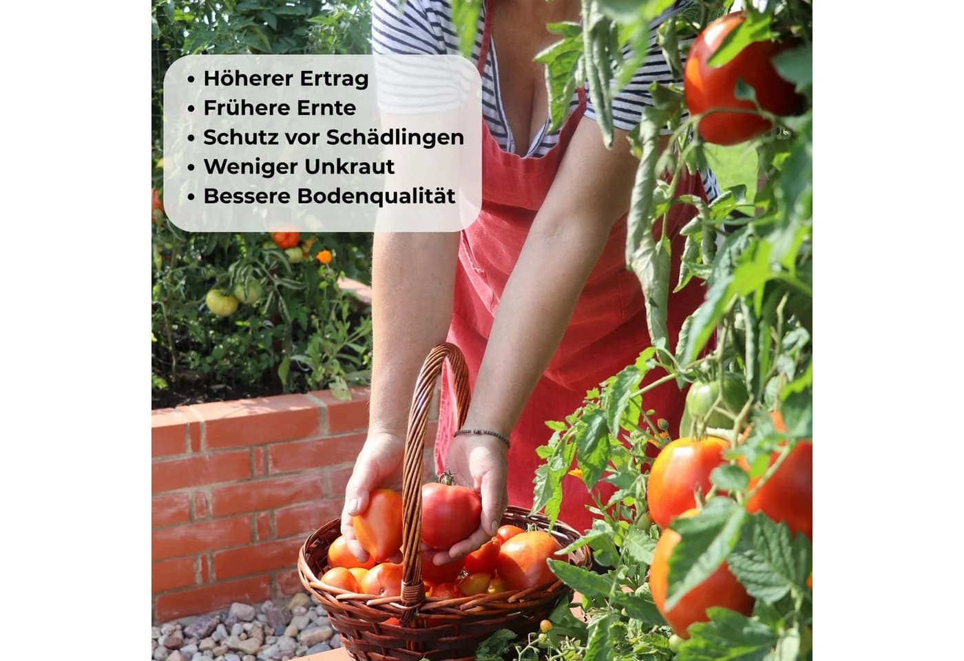 osoltus Hochbeet Gartenbeet Metall 105x60x43cm - Bild 4
