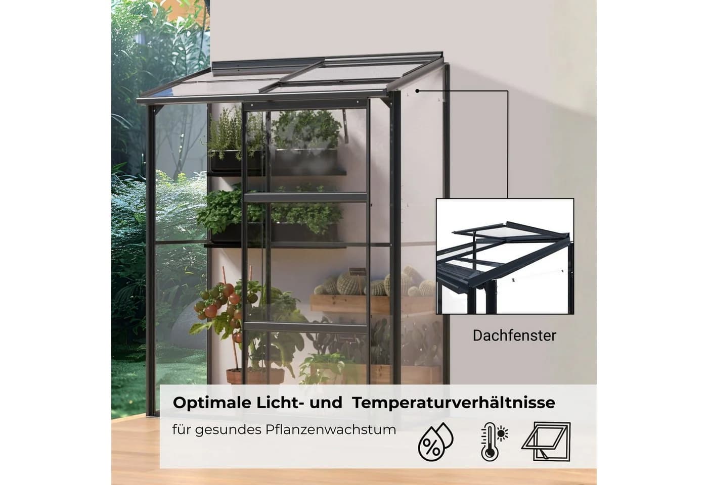 osoltus Premium Anlehngewächshaus Schwarz Aluminium & Glas - Bild 4