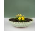 matches21 HOME & HOBBY Blumentopf Pflanzschale Grün Marmoriert 22 cm Bild 4