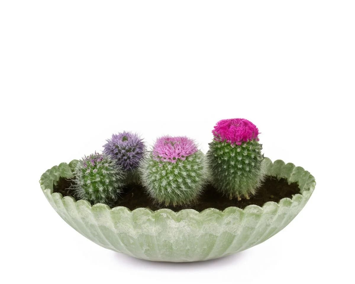 matches21 HOME & HOBBY Blumentopf Pflanzschale Grün Marmoriert 22 cm - Bild 5