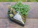 matches21 HOME & HOBBY Blumentopf Herz Pflanzschale Marmoriert Schwarz Bild 5