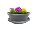 matches21 HOME & HOBBY Blumentopf mit Untersetzer grau Bild 2