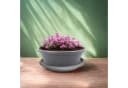 matches21 HOME & HOBBY Blumentopf mit Untersetzer grau Bild 3