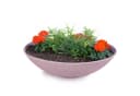 matches21 HOME & HOBBY Pflanzschale rund 45 cm altrosa wetterfest Bild 2