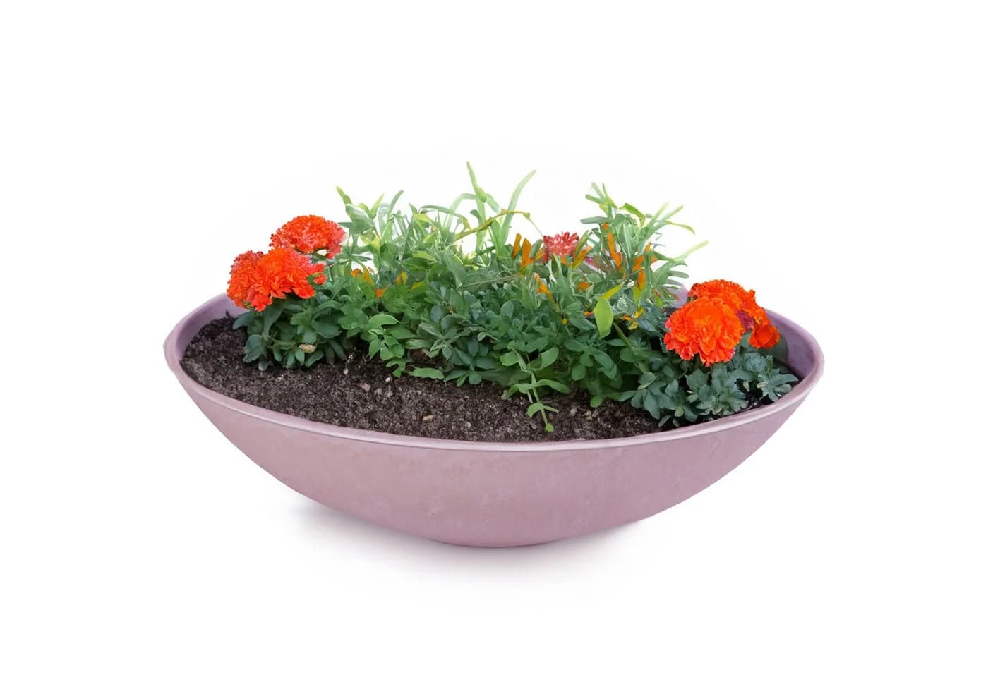 matches21 HOME & HOBBY Pflanzschale rund 45 cm altrosa wetterfest - Bild 2