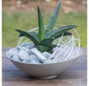 matches21 HOME & HOBBY Pflanzschale rund 45 cm altrosa wetterfest Bild 4