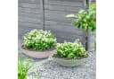 matches21 HOME & HOBBY Pflanzschale rund 45 cm altrosa wetterfest Bild 5