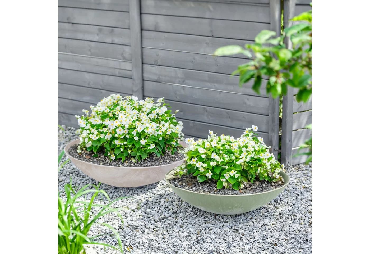 matches21 HOME & HOBBY Pflanzschale rund 45 cm altrosa wetterfest - Bild 5