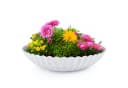 matches21 HOME & HOBBY Pflanzschale Grau Wellendesign Wetterfest Bild 2
