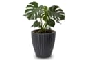 matches21 HOME & HOBBY Blumentopf ZENTO Schwarz Bild 2