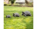 Oriental Galerie Dekofigur Schildkröte Gartenfigur aus GRC Grau Bild 3