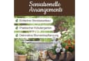 PROREGAL Blumentopf Pflanzenwagen Whiskyfass Braun Kunststoff Bild 1