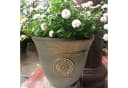 HTI-Living Blumentopf Nessa Sonne 3er-Set Gelb Kunststoff Bild 3