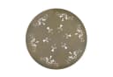 HTI-Living Gartentisch Lily Metall Braun Bild 4