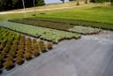 EraGreen Unkrautfolie 1m x 0,5m UV-Stabil Bild 3