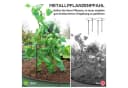Outsunny Hochbeet 2er-Set Stahl Bild 5
