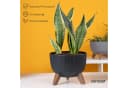 KONZEPT Blumentopf Pflanzschale Schwarz mit Füßen und Wasserabfluss Bild 1