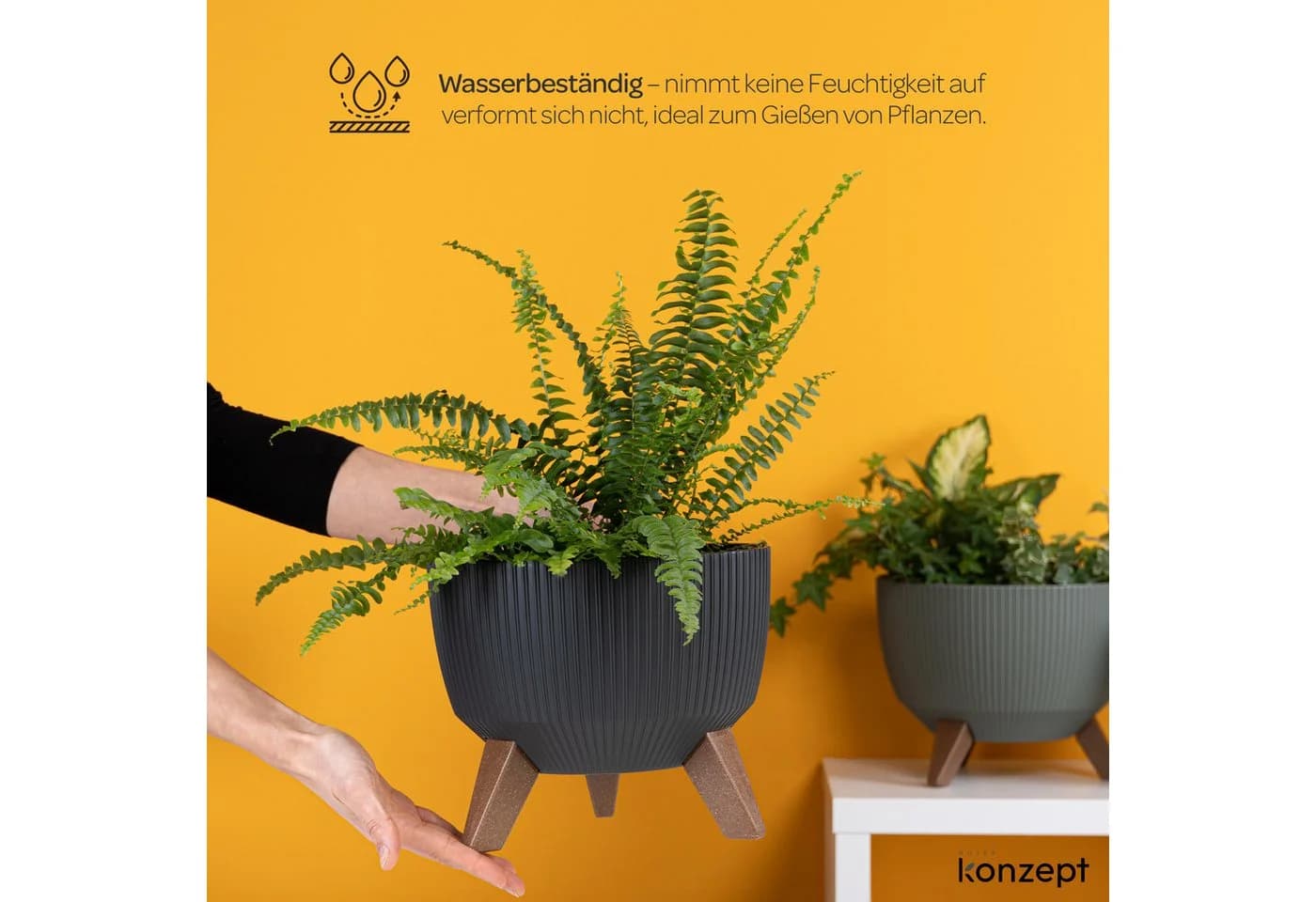 KONZEPT Blumentopf Pflanzschale Schwarz mit Füßen und Wasserabfluss - Bild 4