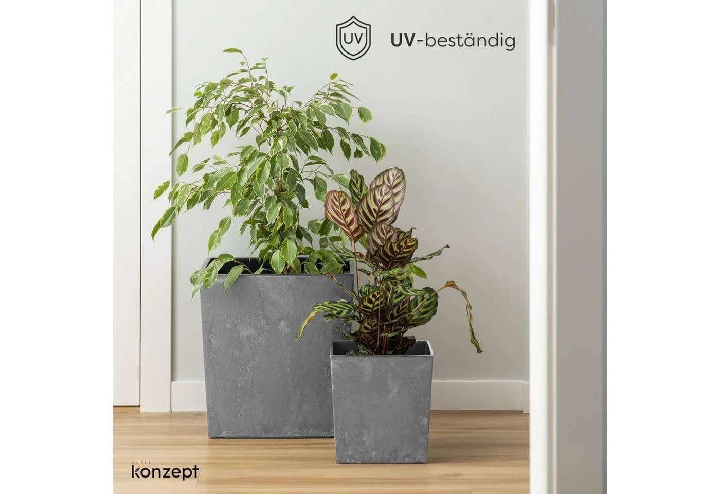 KONZEPT Pflanzkübel XL Grau Beton-Optik UV-beständig - Bild 3
