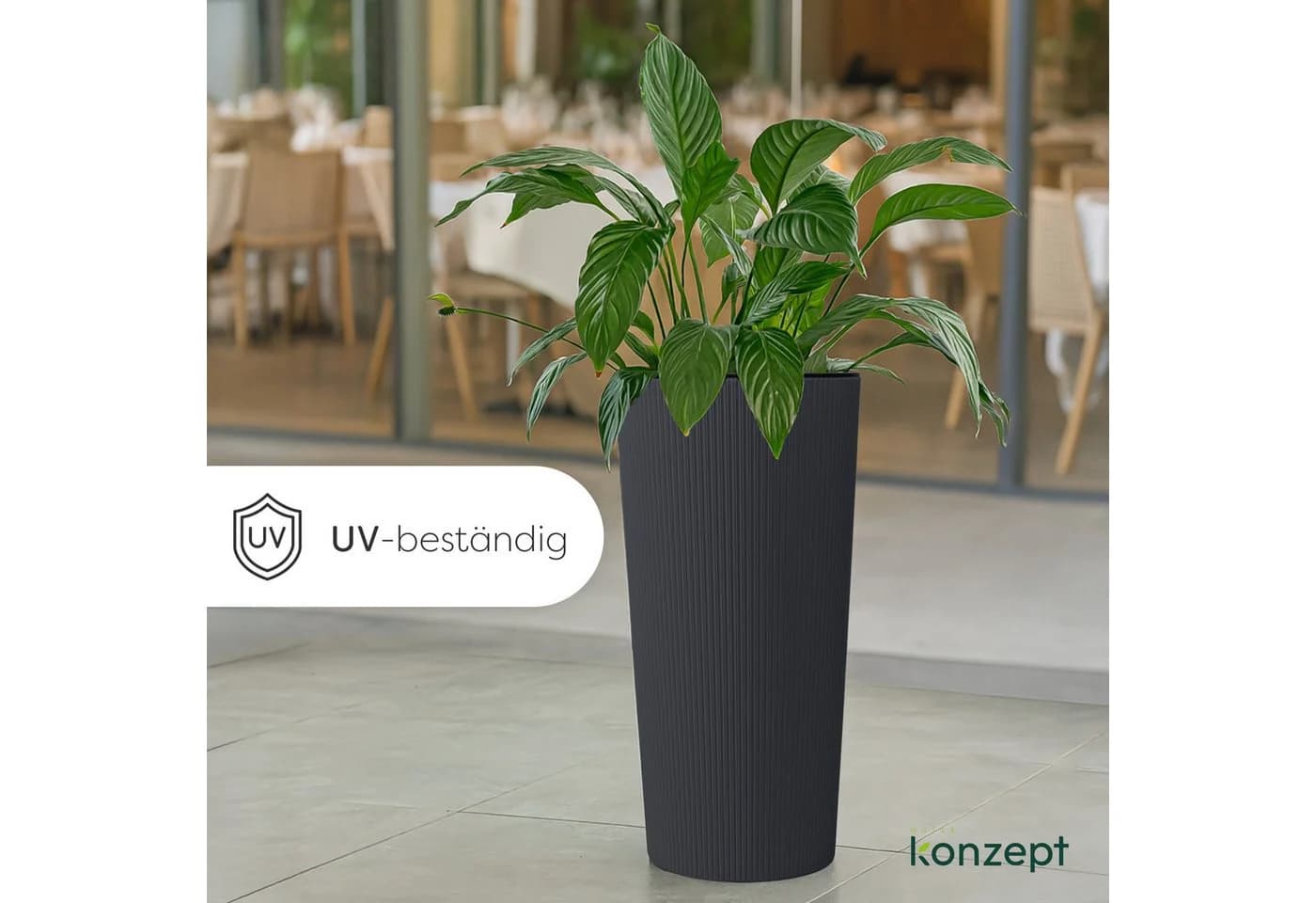 KONZEPT Blumentopf mit Einsatz Hoch 75cm für Außenbereich - Bild 4