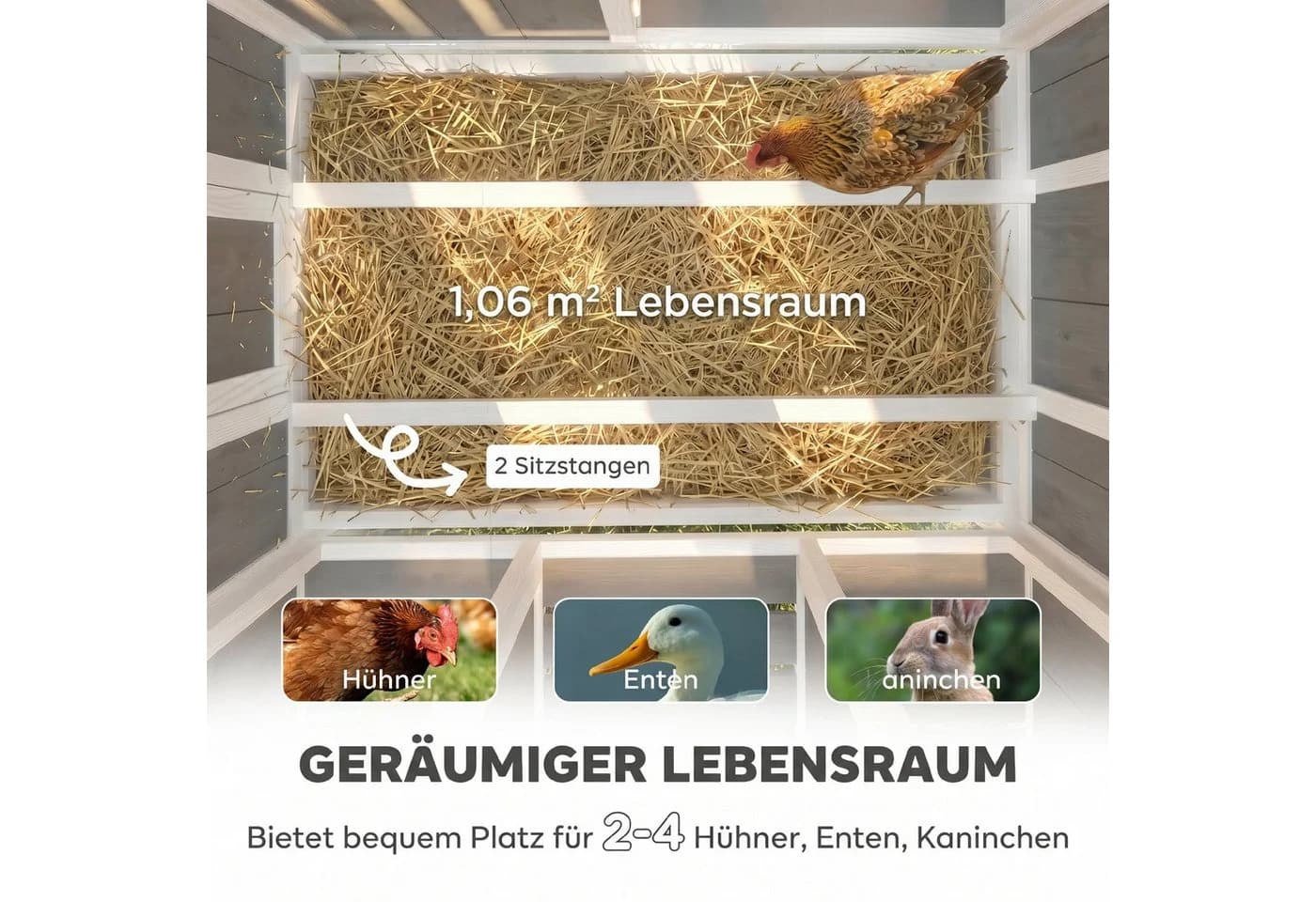PawHut Hühnerstall aus Holz mit PET-Dach Grau - Bild 4
