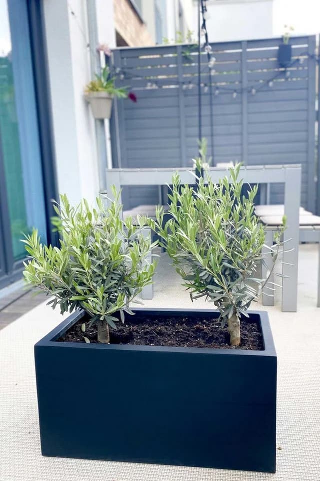 VIVANNO Pflanzkübel Fiberglas Anthrazit Matt