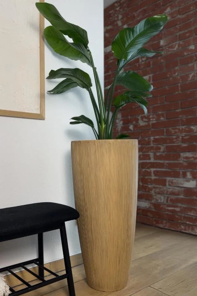 Exklusiver Pflanzkübel aus Fiberglas, Beige, 37x80cm - Bild 4