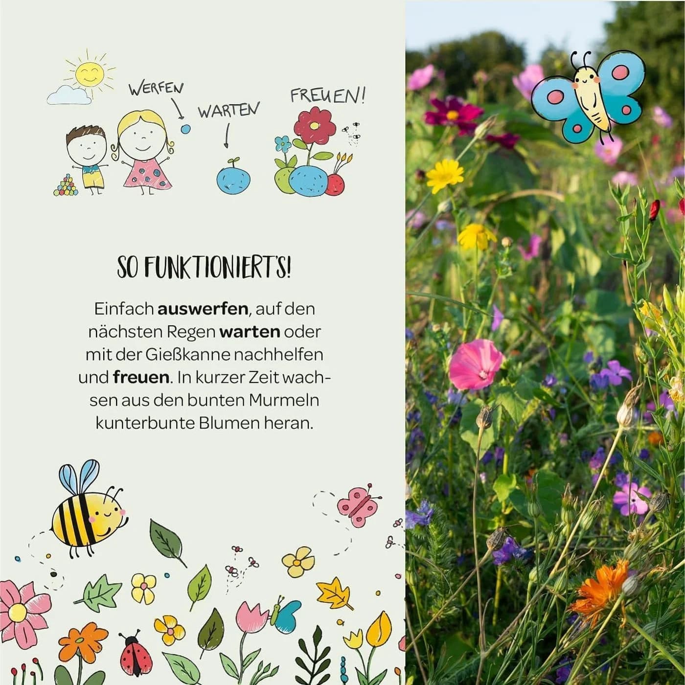Die Stadtgärtner Blumenmurmeln 25 handgemacht bunt 20 Arten Saatgut - Bild 3