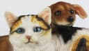 Arnusa Gartenfigur Hund und Katze Dekofigur 34 cm Bild 4