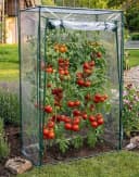 BruKa Gewächshaus GREENHOUSE L Foliengewächshaus mit UV-Schutz Bild 1