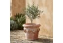 Teramico Blumentopf Conca Limoni Terrakotta Ø 48cm Frostfest Bild 3