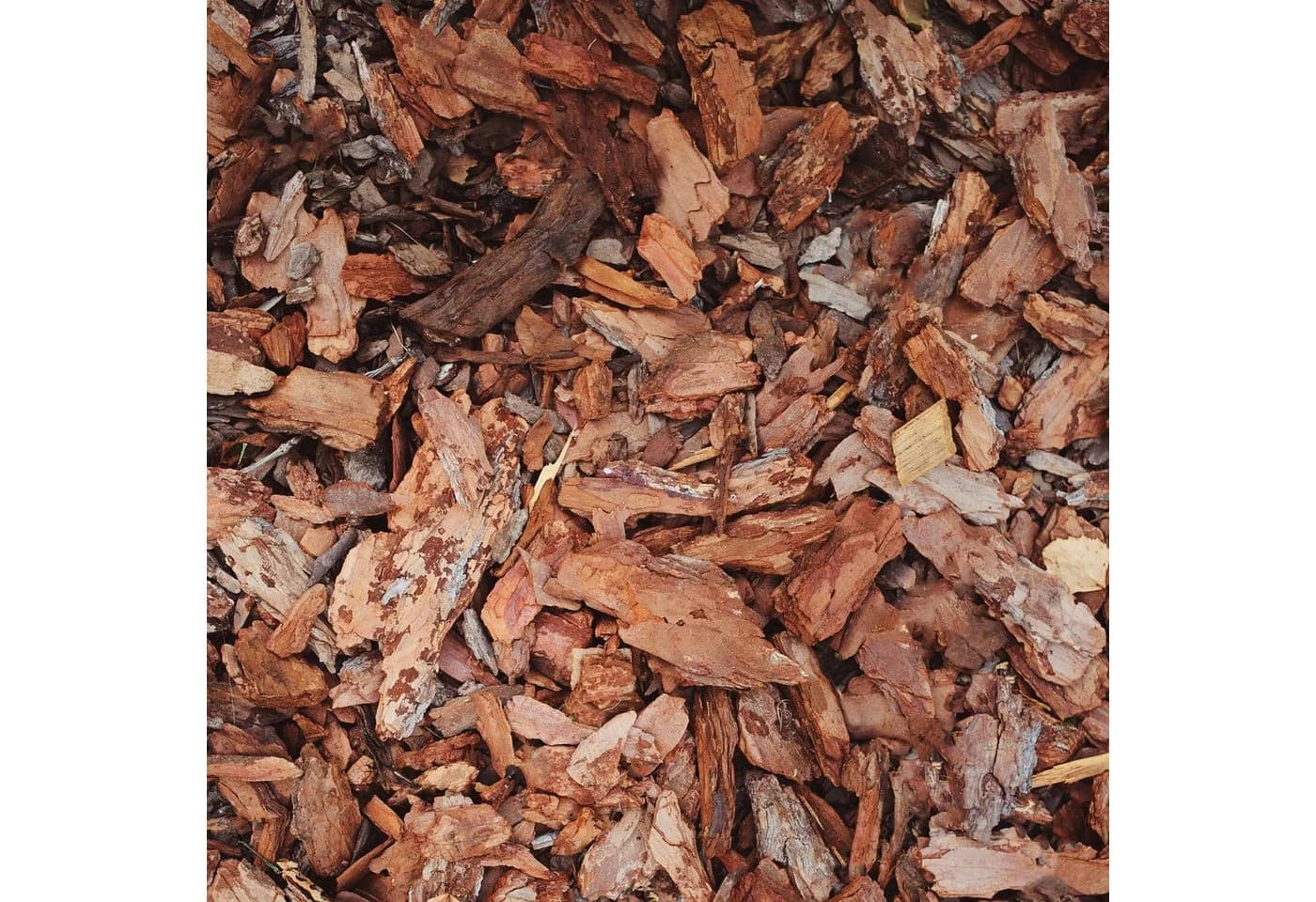 GALAMIO Rindenmulch Kiefer Grob, Palette 39x 60L - Bild 5