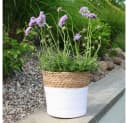 Grafelstein Pflanzkübel BREEZY Weiß mit braunem Rand 22 cm Bild 1