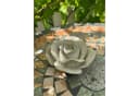 ZGM Gartenfigur Betonfigur Rose ROSA - handgefertigte Dekoration Bild 4