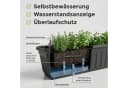 Hausfelder Blumenkasten 4er Set 60cm Anthrazit mit Wasserstandsanzeiger Bild 3
