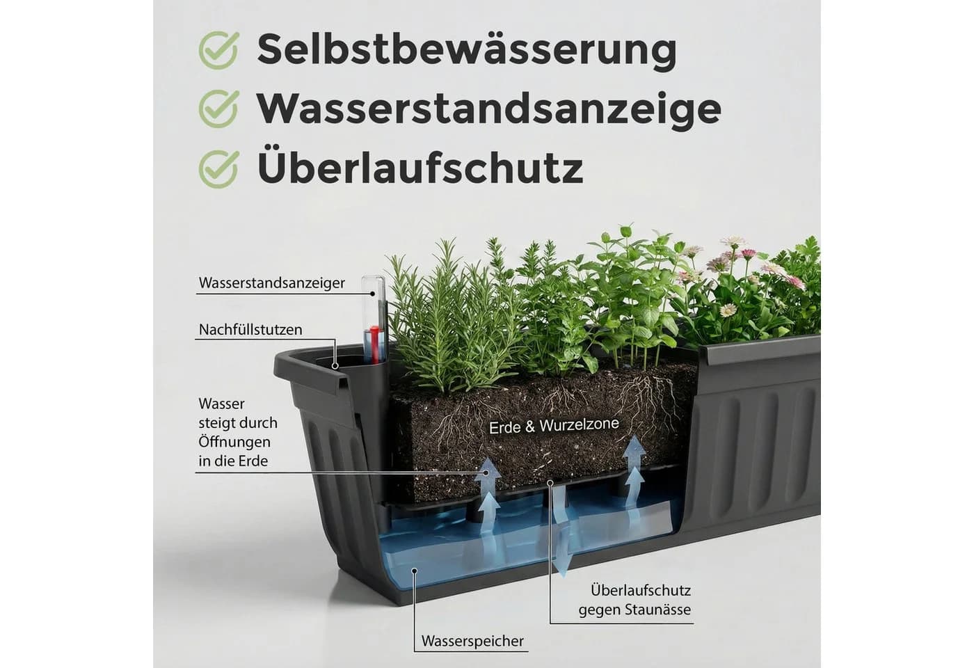 Hausfelder Blumenkasten 4er Set 60cm Anthrazit mit Wasserstandsanzeiger - Bild 3