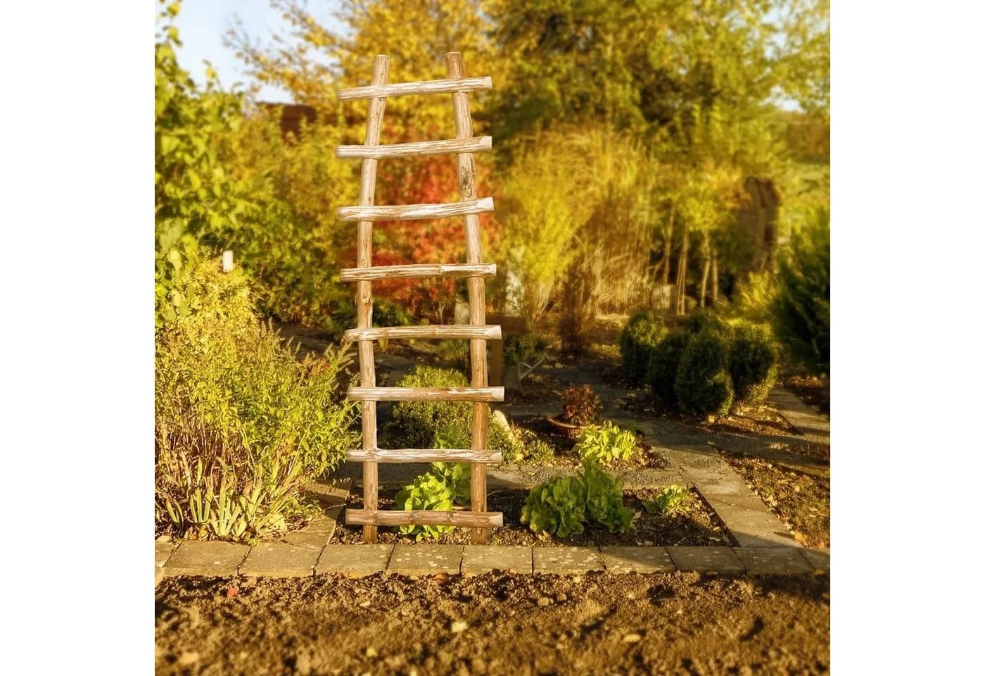 BooGardi Rankhilfe Kletterhilfe aus Holz Freistehend Spalier - Bild 5