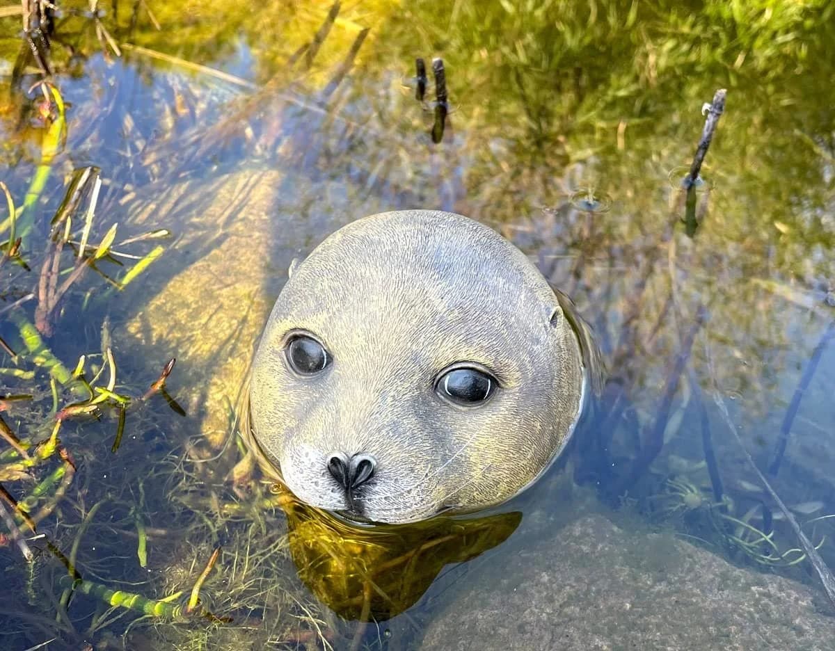 LB H&F Lilienburg Teichfigur Seehund Kopf Schwimmtier Dekofigur - Bild 3
