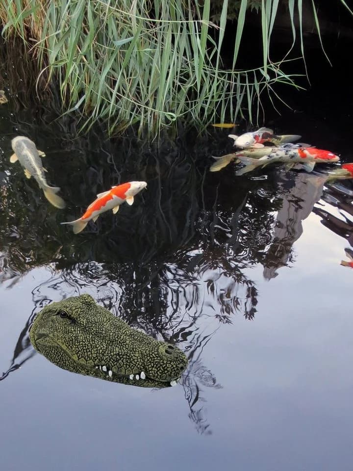 LB H&F Lilienburg Teichfigur Krokodil Grün Schwimmtier - Bild 5