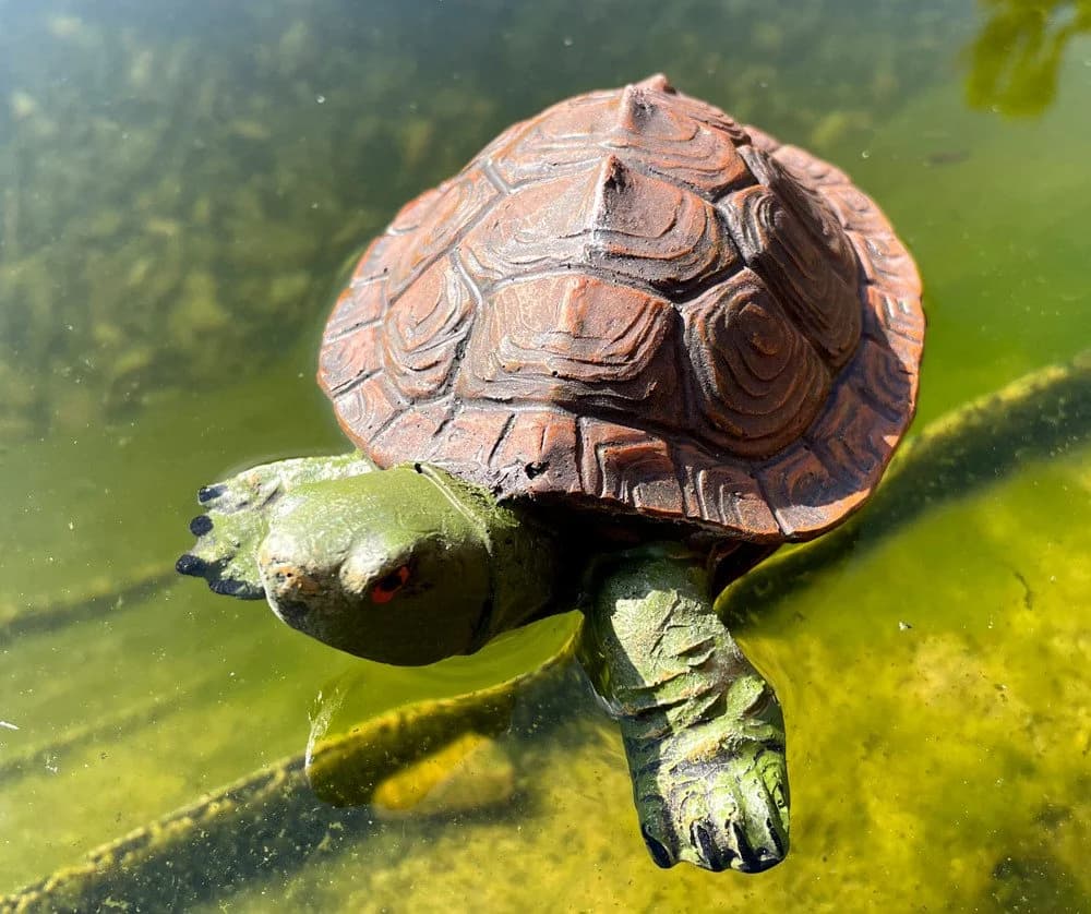LB H&F Lilienburg Teichfigur Schildkröte Schwimmfigur