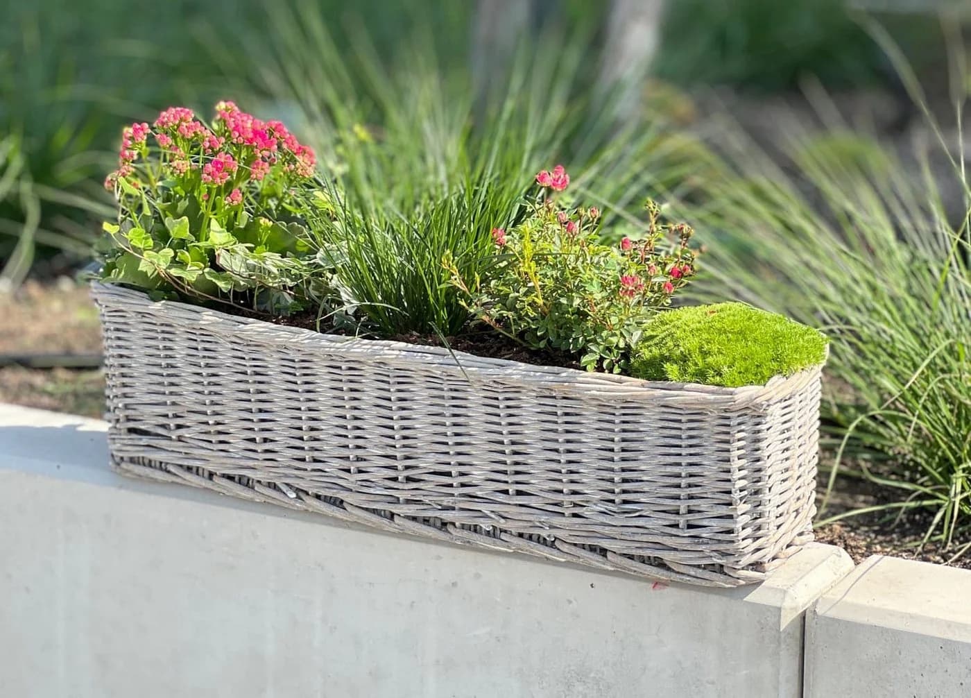 Dekoleidenschaft Blumenkasten Rattan Koboo Grau 60 cm