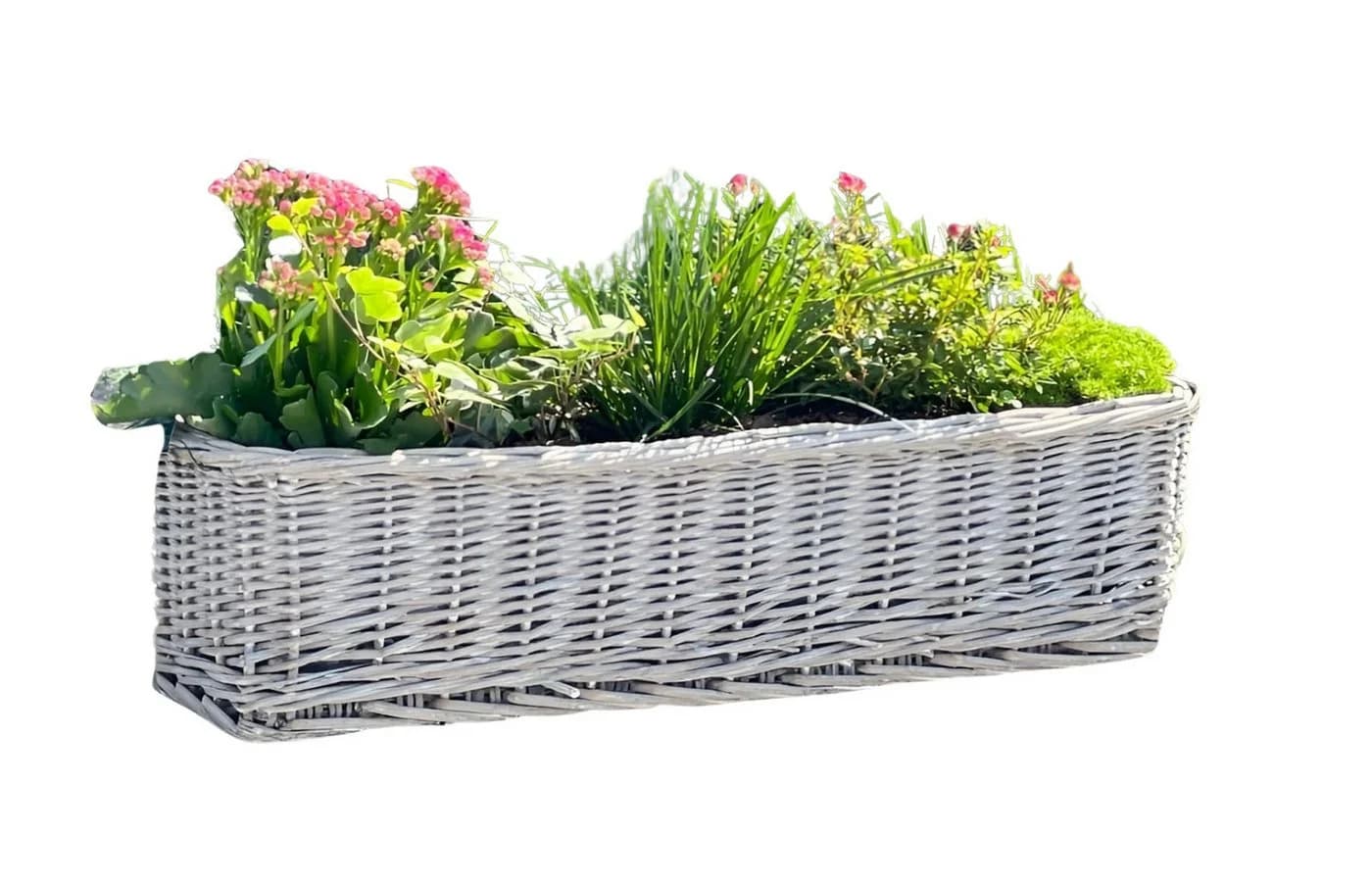 Dekoleidenschaft Blumenkasten Rattan Koboo Grau 60 cm - Bild 2