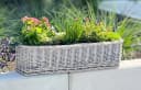 Dekoleidenschaft Blumenkasten Rattan Koboo Grau 60 cm Bild 3
