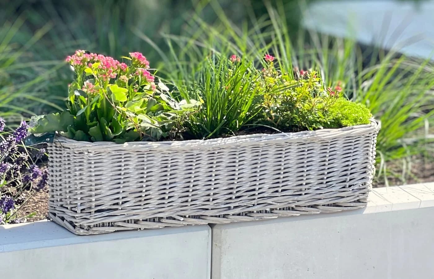 Dekoleidenschaft Blumenkasten Rattan Koboo Grau 60 cm - Bild 3