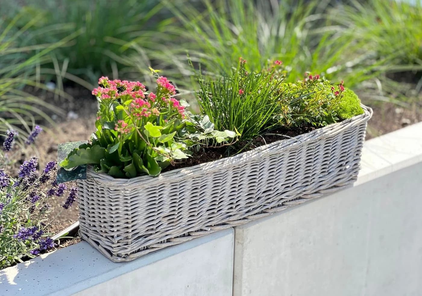 Dekoleidenschaft Blumenkasten Rattan Koboo Grau 60 cm - Bild 4