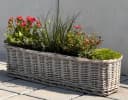Dekoleidenschaft Blumenkasten Rattan Koboo Grau 60 cm Bild 5